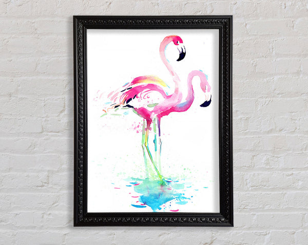 Flamingo Aquarell