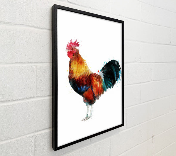 Rooster