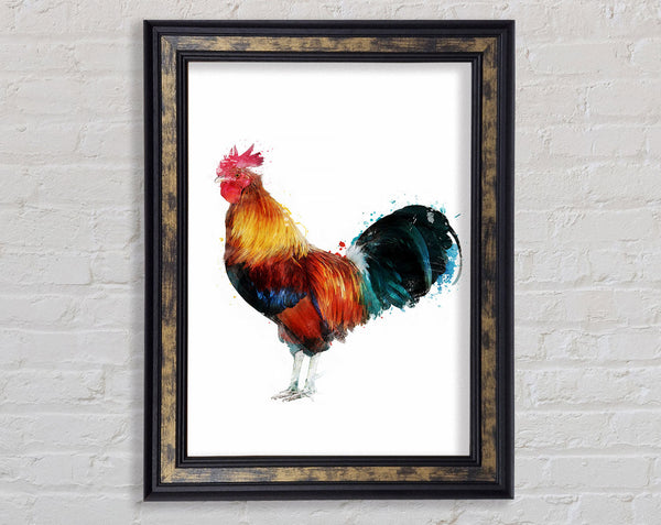 Rooster Framed Print