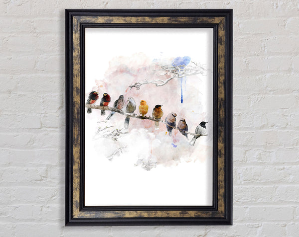 Bird Gossip Framed Print