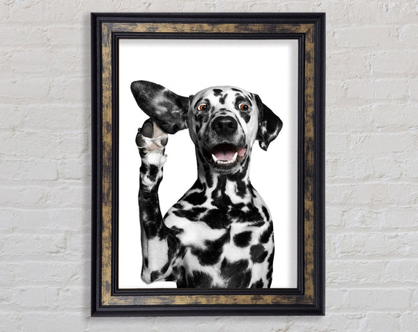 Dalmation Dog High Five Framed Print