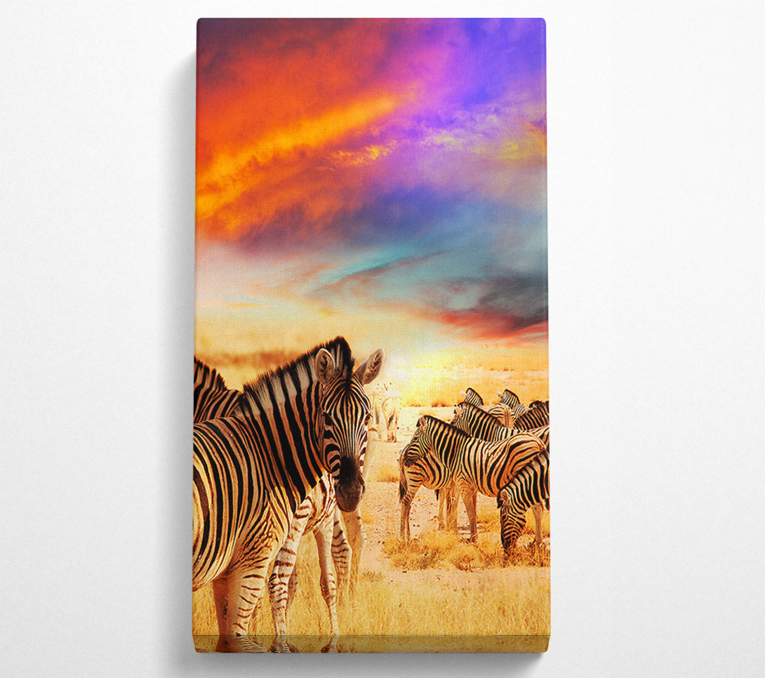  A Canvas Print of Stunning Zebra Skies Canvas Print