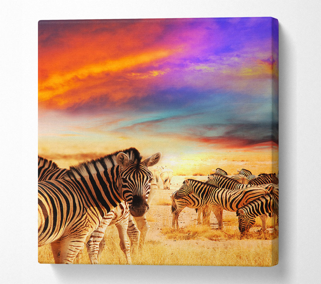  A Canvas Print of Stunning Zebra Skies Canvas Print