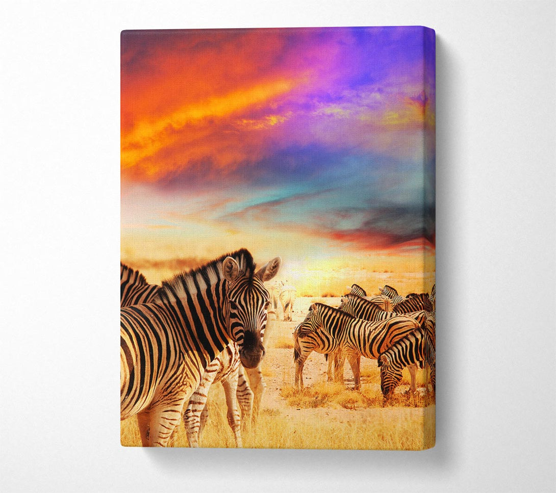  A Canvas Print of Stunning Zebra Skies Canvas Print