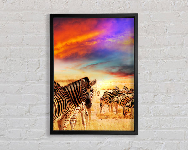 Atemberaubender Zebrahimmel