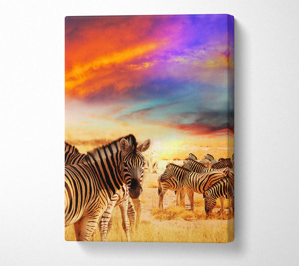  A Canvas Print of Stunning Zebra Skies Canvas Print