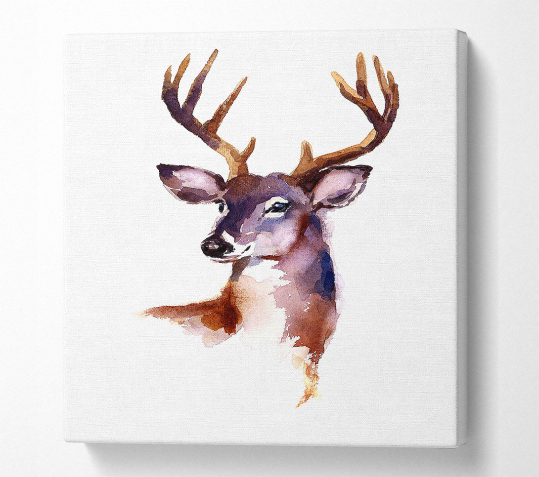  A Canvas Print of Female Deer Canvas Wall Art