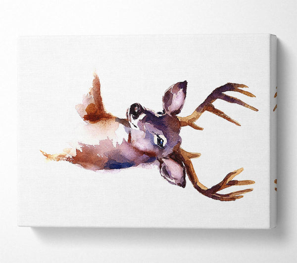  A Canvas Print of Female Deer Canvas Wall Art