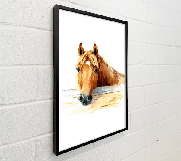 Horse At The Stables