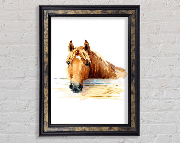 Horse At The Stables Framed Print