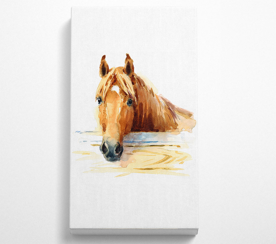  A Canvas Print of Horse At The Stables Canvas Art