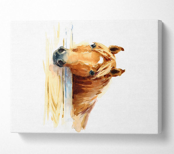  A Canvas Print of Horse At The Stables Canvas Art