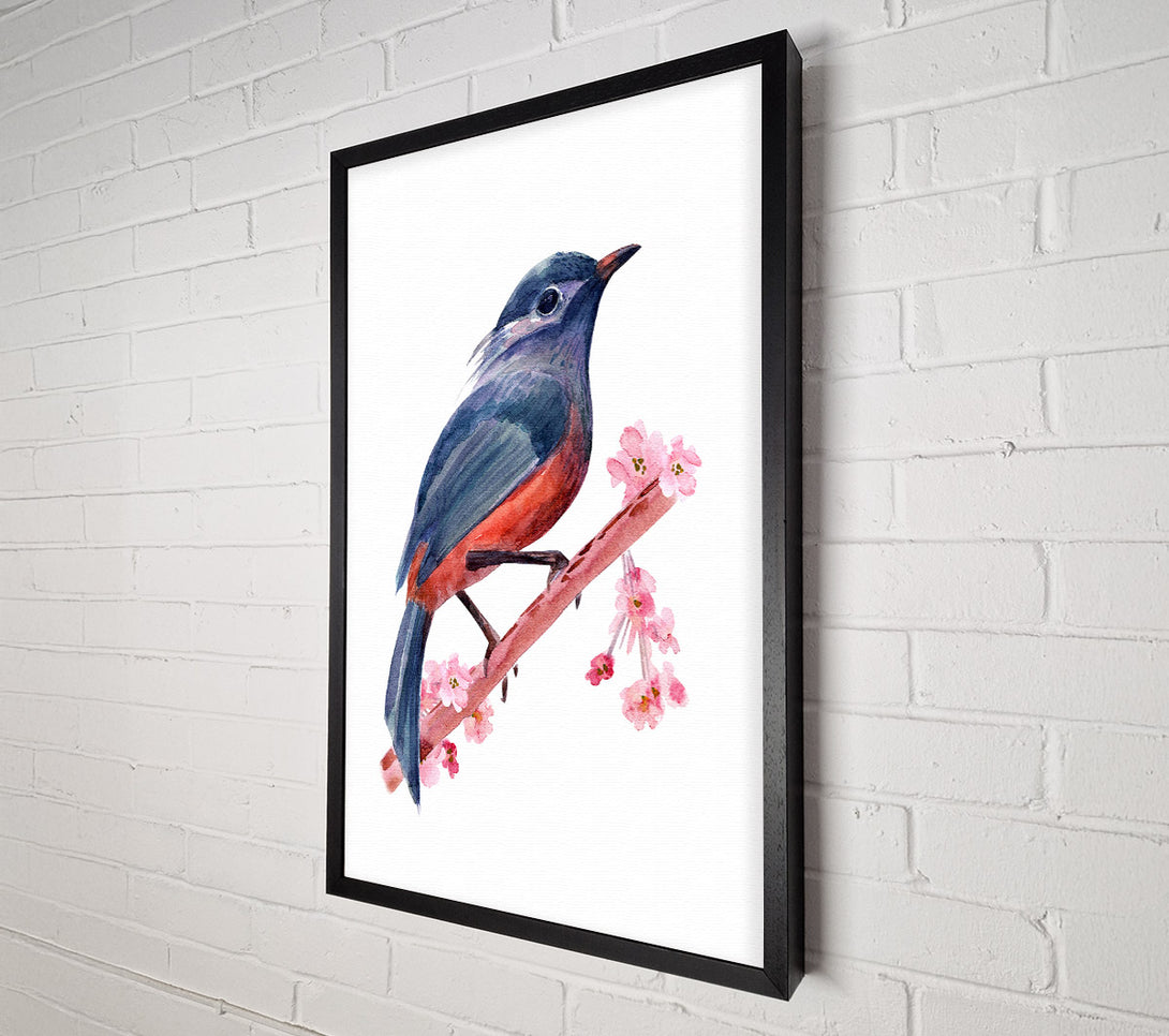  A Canvas Print of Chaffinch Bird Cherry Blossom Canvas Art