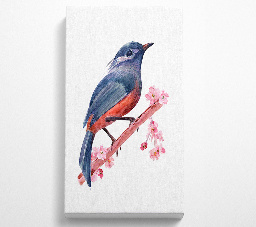  A Canvas Print of Chaffinch Bird Cherry Blossom Canvas Art