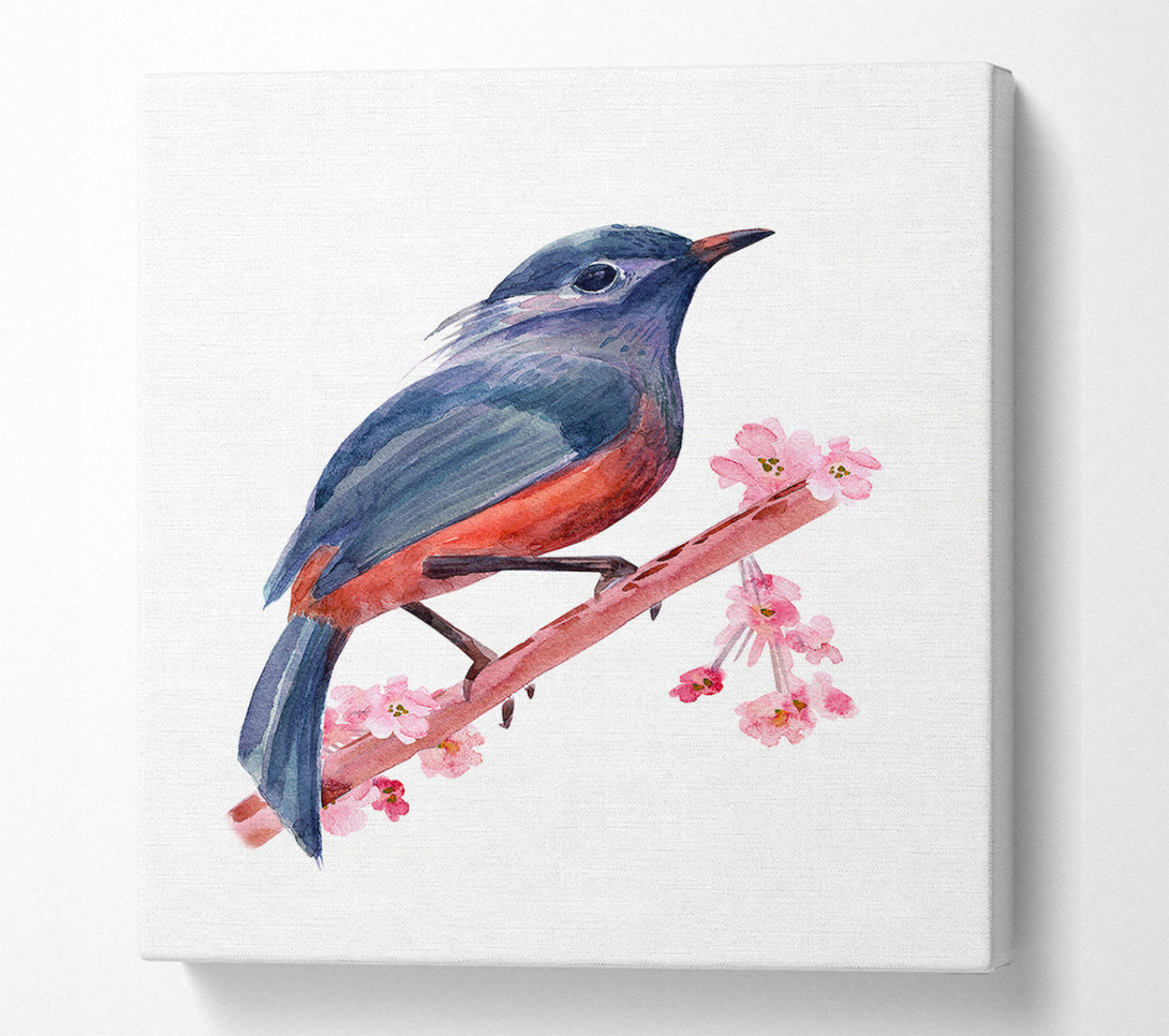  A Canvas Print of Chaffinch Bird Cherry Blossom Canvas Art