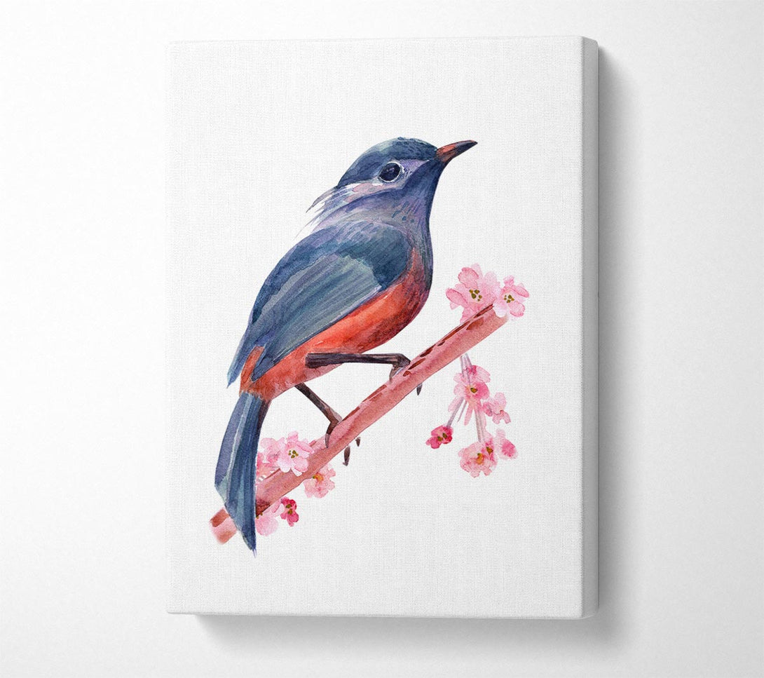  A Canvas Print of Chaffinch Bird Cherry Blossom Canvas Art