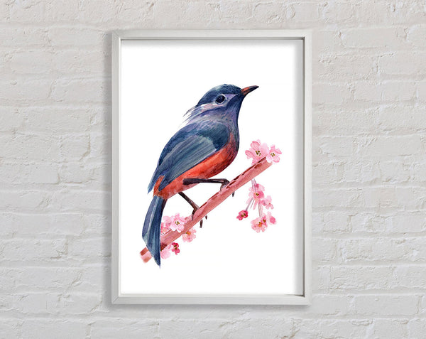 Chaffinch Bird Cherry Blossom Framed Print