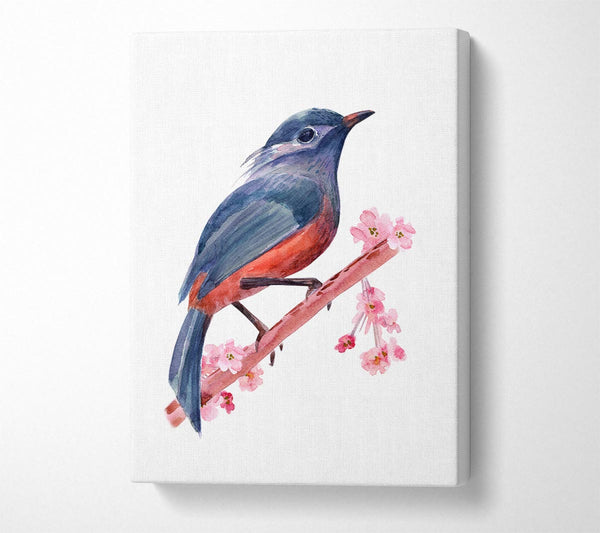  A Canvas Print of Chaffinch Bird Cherry Blossom Canvas Art