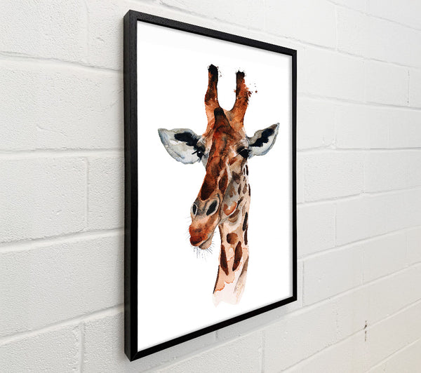 Curious Giraffe