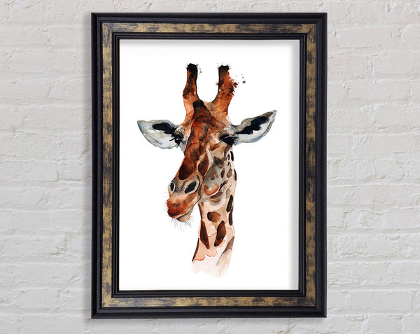 Curious Giraffe Framed Print