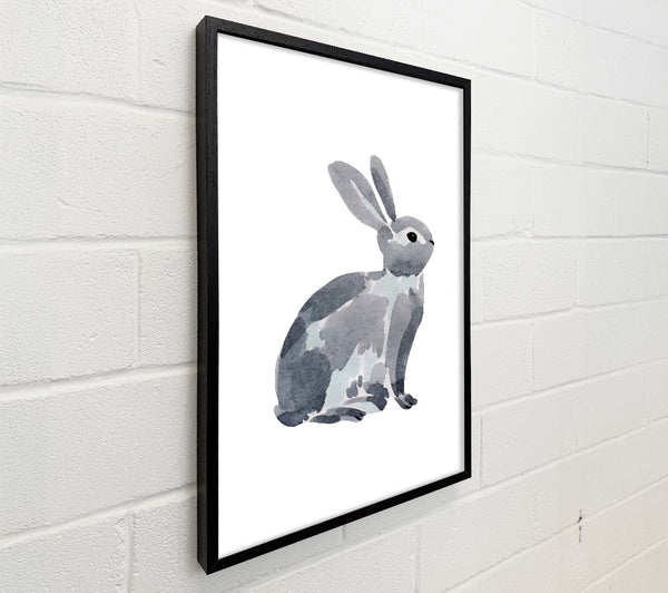 Grey Rabbit