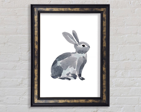 Grey Rabbit Framed Print