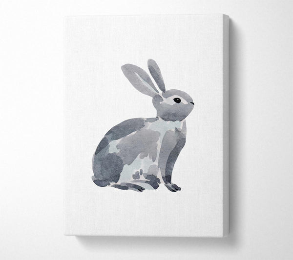  A Canvas Print of Grey Rabbit Canvas Print
