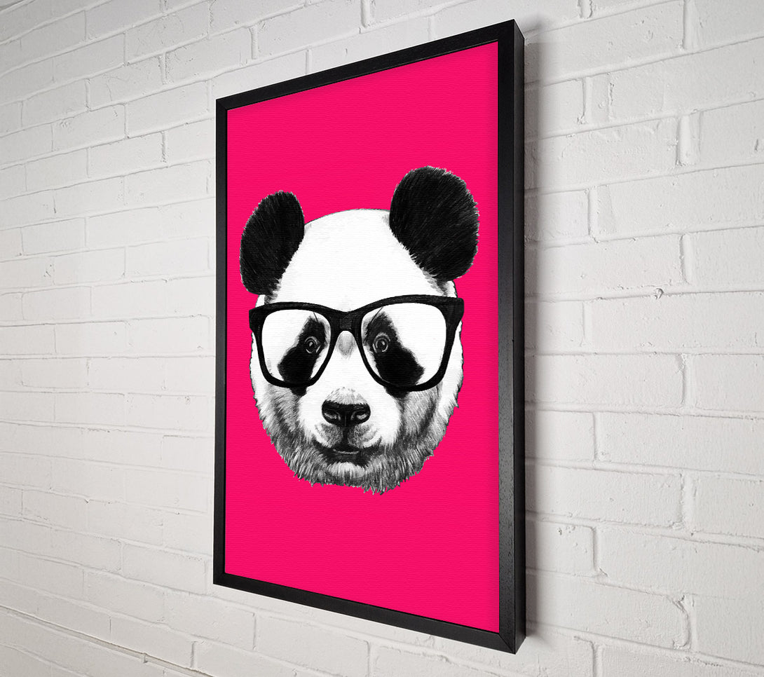  A Canvas Print of Funky Panda Canvas Print