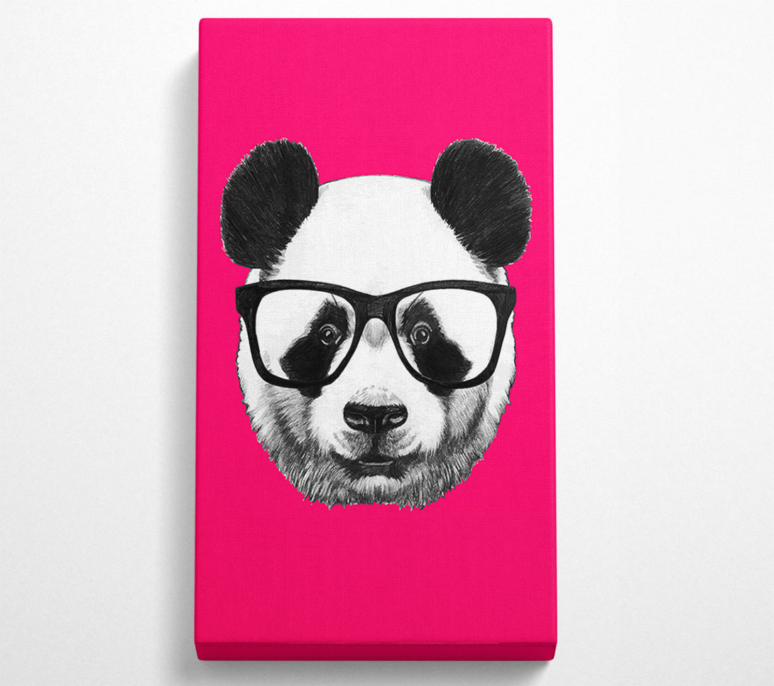  A Canvas Print of Funky Panda Canvas Print