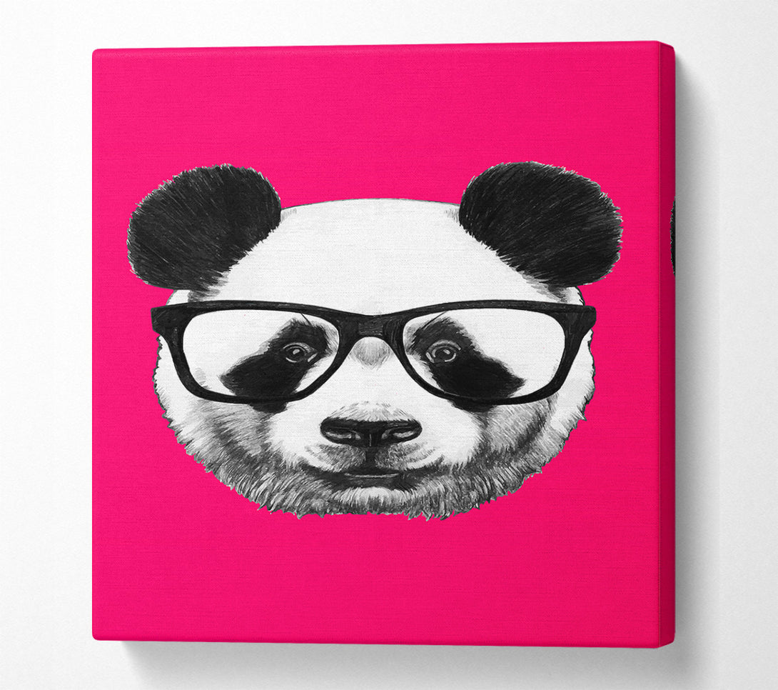 A Canvas Print of Funky Panda Canvas Print