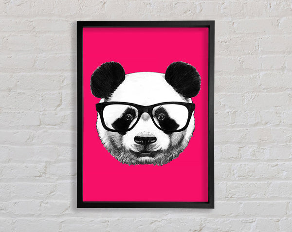 Funky Panda Framed Print