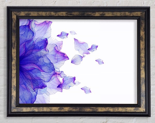 Whisper 4 Framed Print