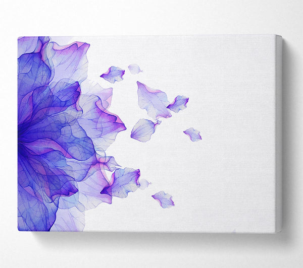  A Canvas Print of Whisper 4 Canvas Wall Art