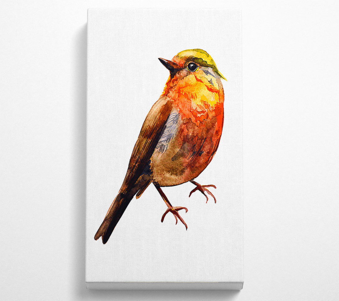  A Canvas Print of Robin Red Breast Canvas Print