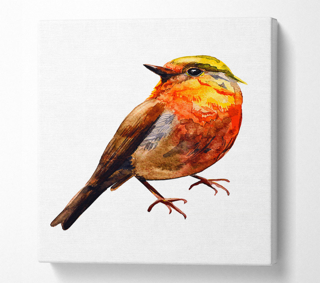  A Canvas Print of Robin Red Breast Canvas Print