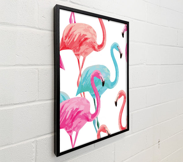 Flamingo Colours