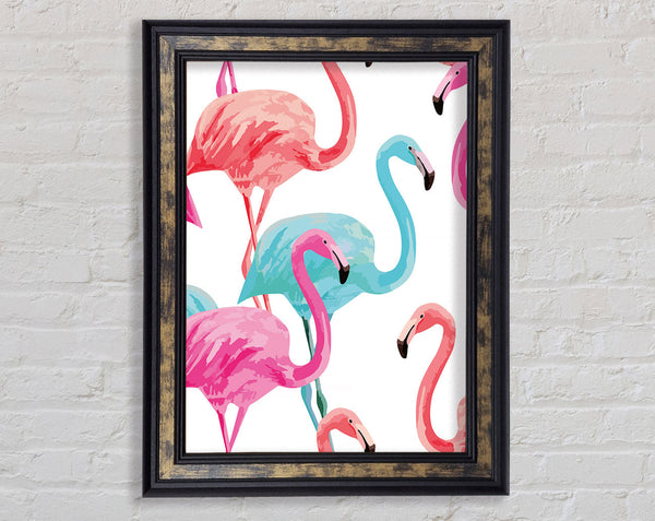 Flamingo Colours Framed Print
