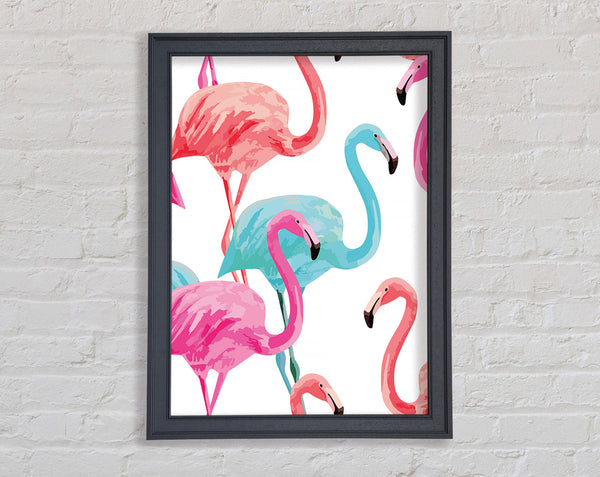 Flamingo Colours Framed Print