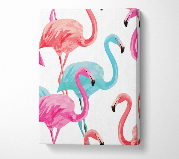  A Canvas Print of Flamingo Colours Canvas Print