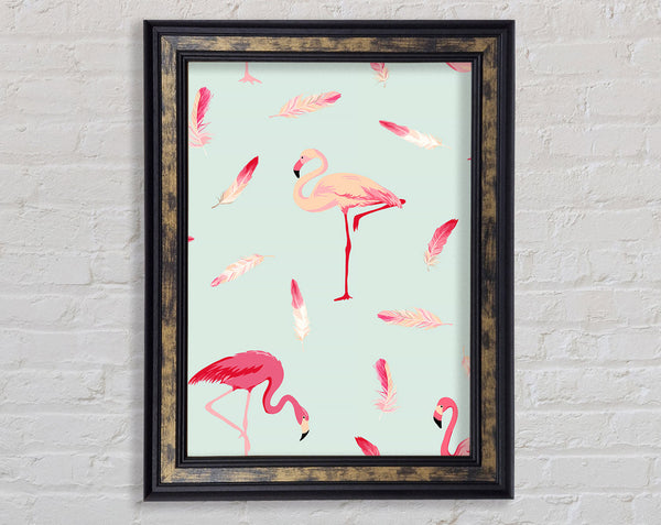 Pink Flamingo Feathers Framed Print