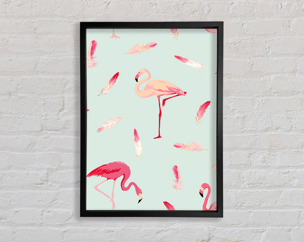Pink Flamingo Feathers Framed Print