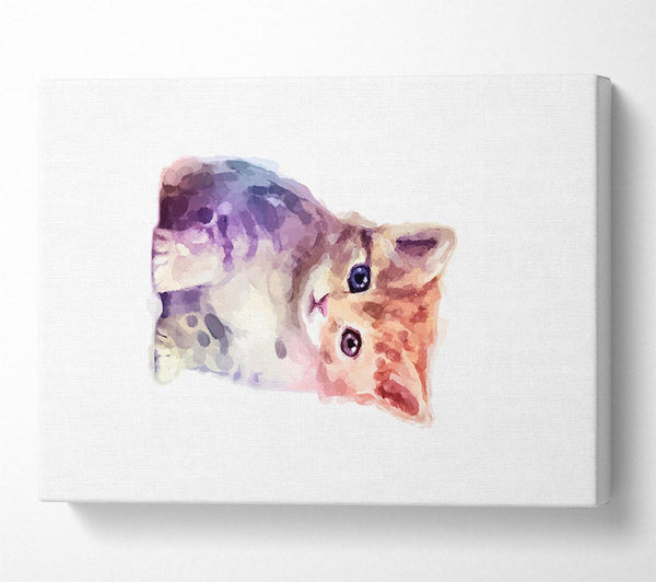  A Canvas Print of Cute Kitten Canvas Print