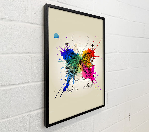 Rainbow Splash Butterfly
