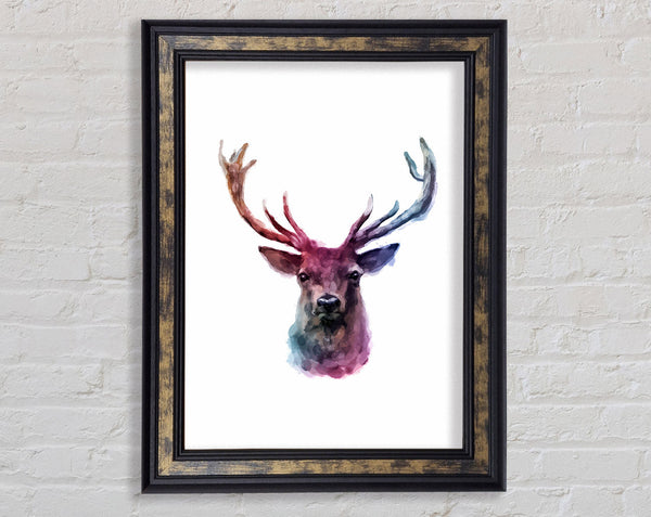 Stag Head Colours Framed Print