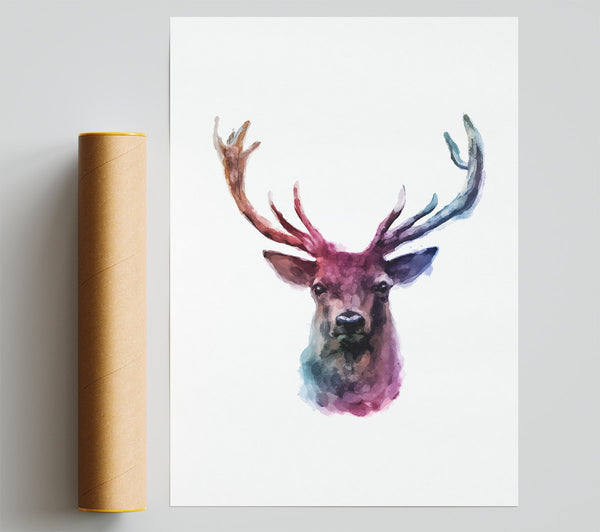 Stag Head Colours Print