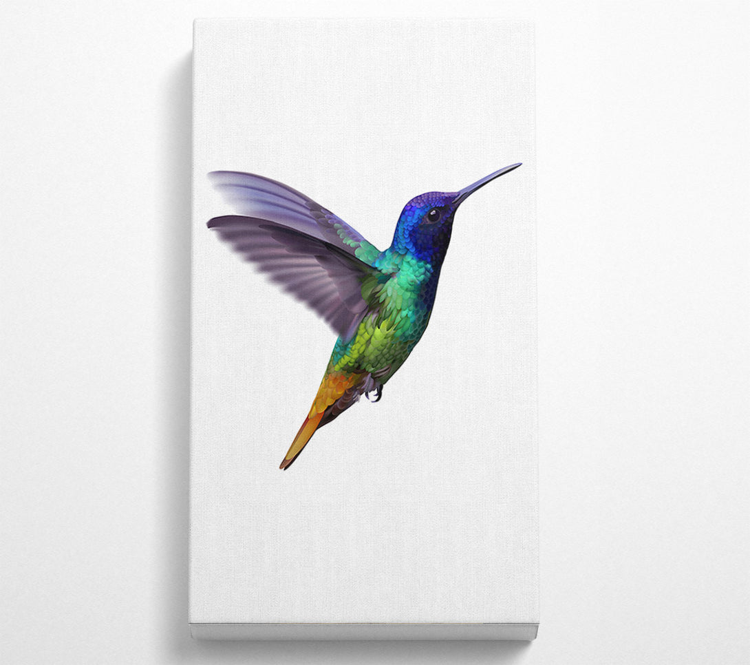  A Canvas Print of Hummingbird Colours Canvas Wall Art