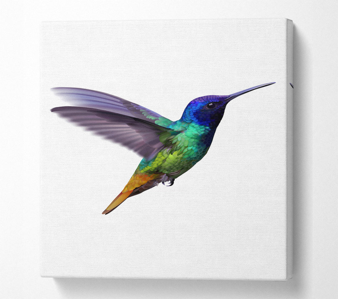  A Canvas Print of Hummingbird Colours Canvas Wall Art