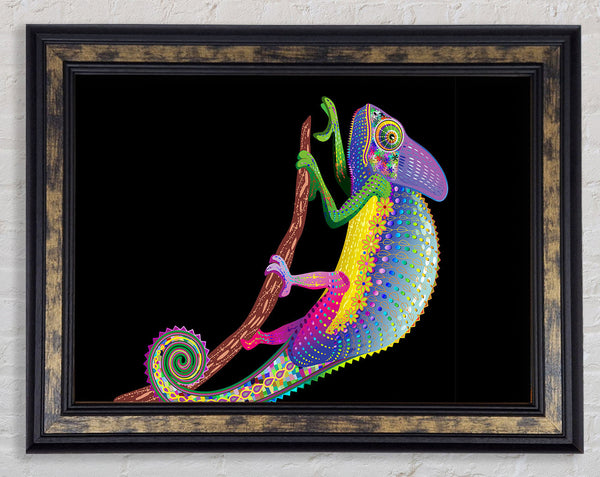 Chameleon Rainbow Framed Print
