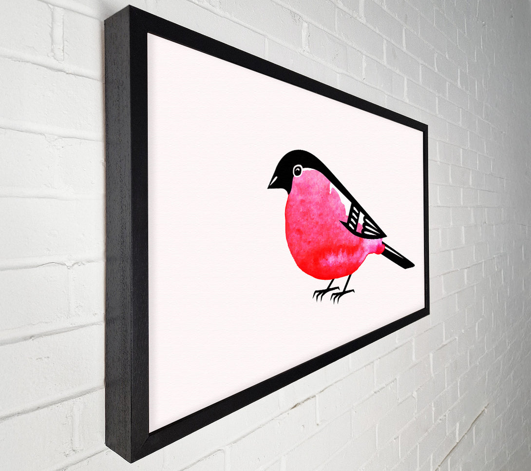  A Canvas Print of Pink Robin Breast Canvas Wall Art