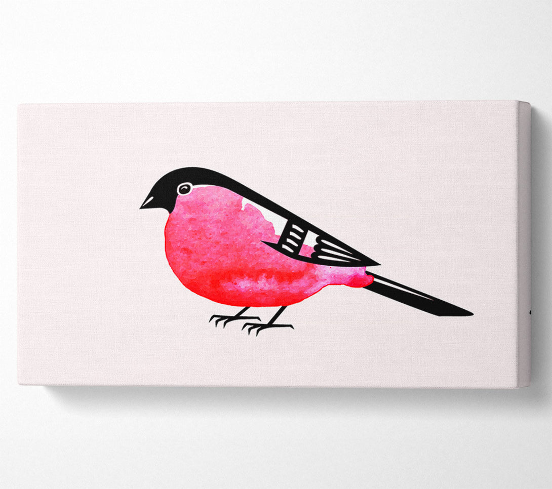  A Canvas Print of Pink Robin Breast Canvas Wall Art